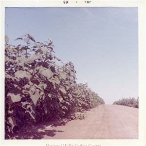 Image description is not available for PHO-4-W689-236